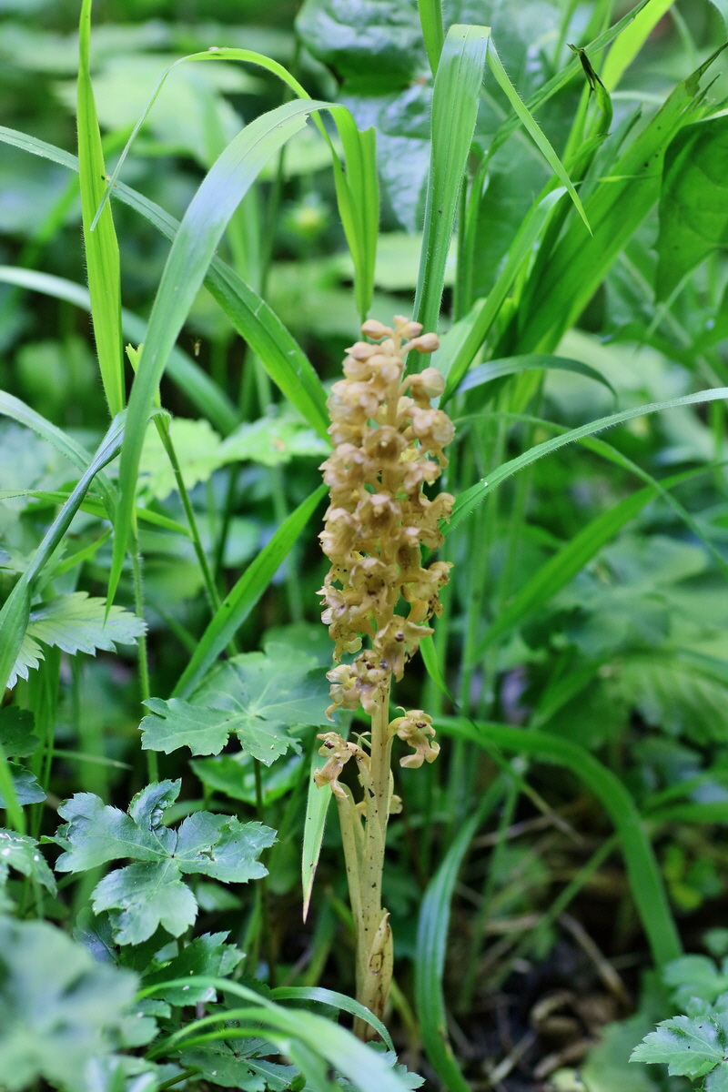 IMG-2016-05-31-00017257p_Bildgr��e �ndern