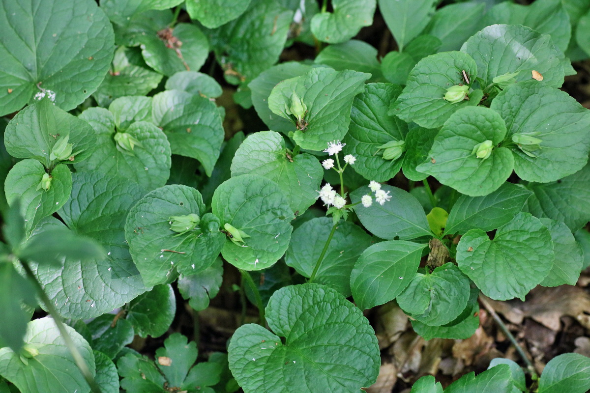 IMG-2016-05-31-00017265p_Bildgr��e �ndern