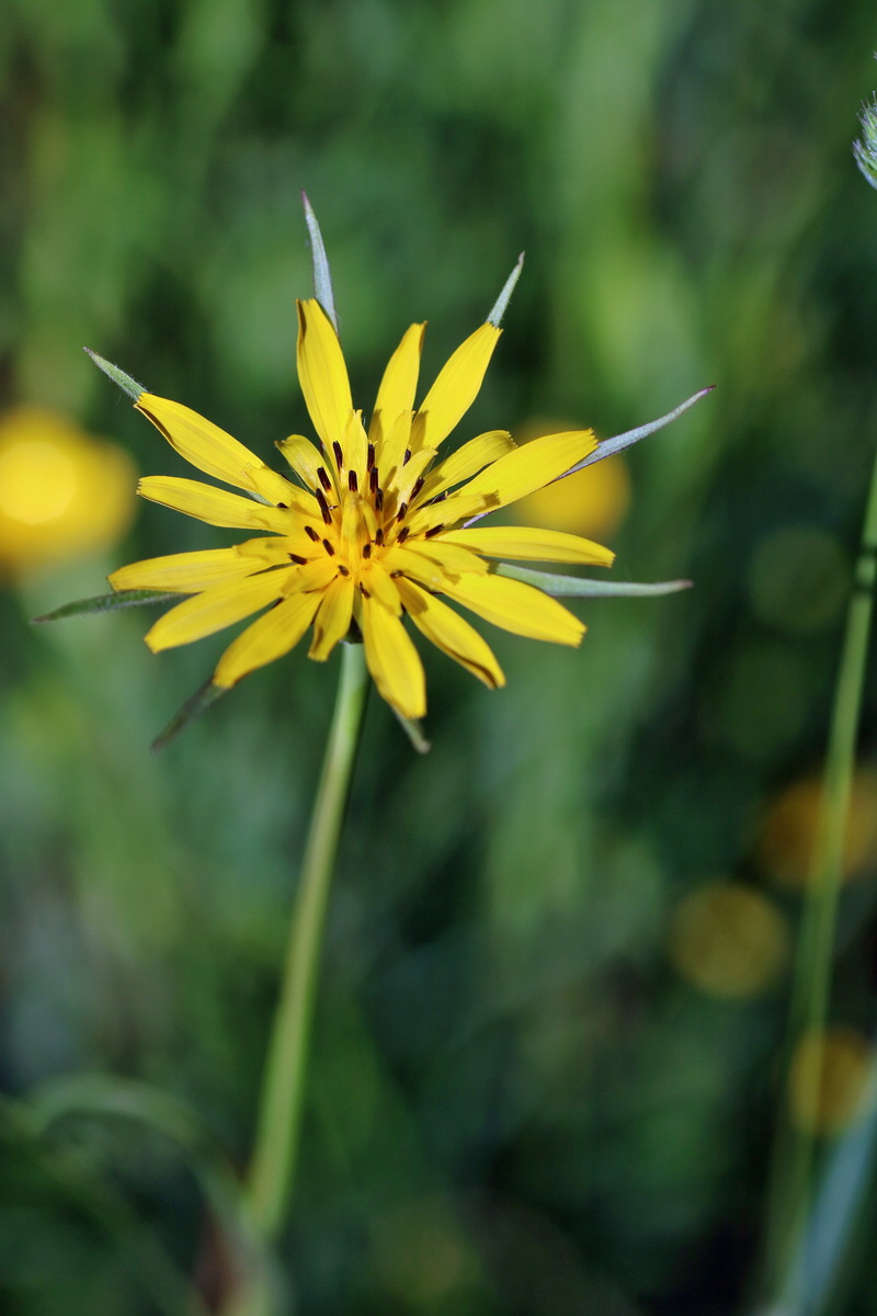 IMG-2016-05-31-00017278p_Bildgr��e �ndern