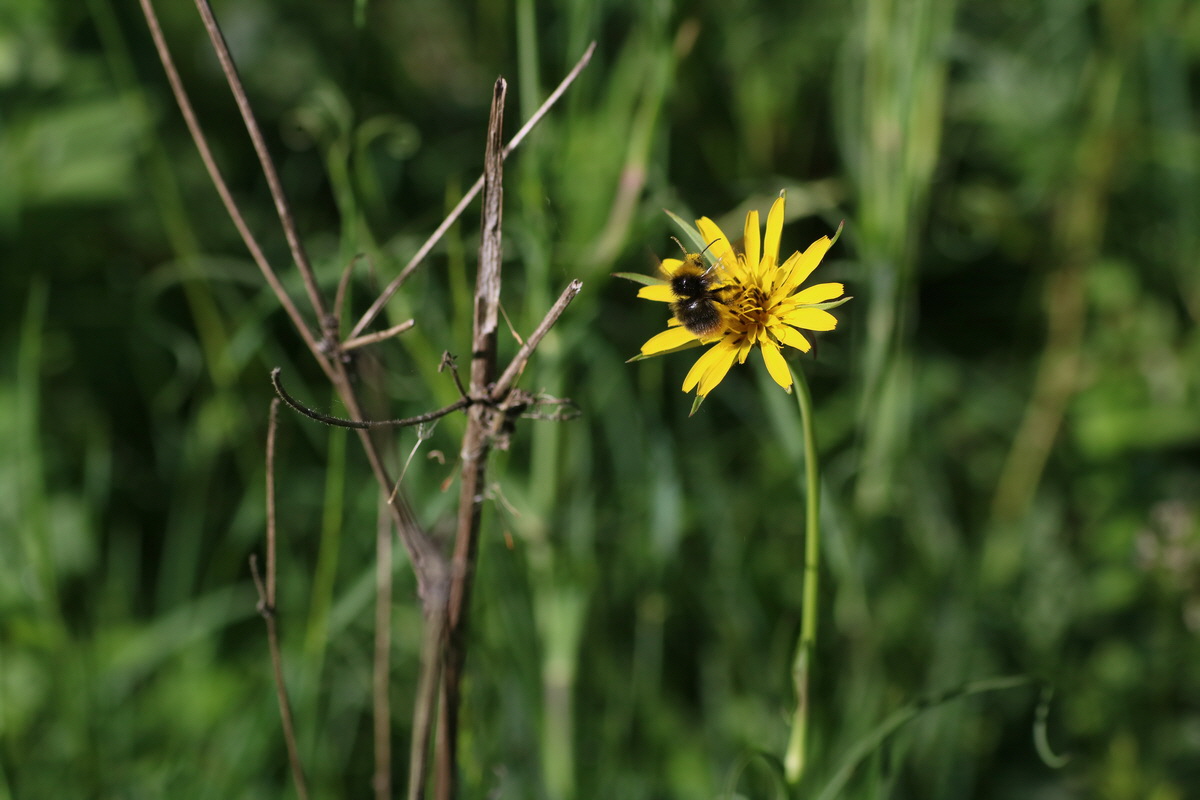 IMG-2016-05-31-00017281_Bildgr��e �ndern