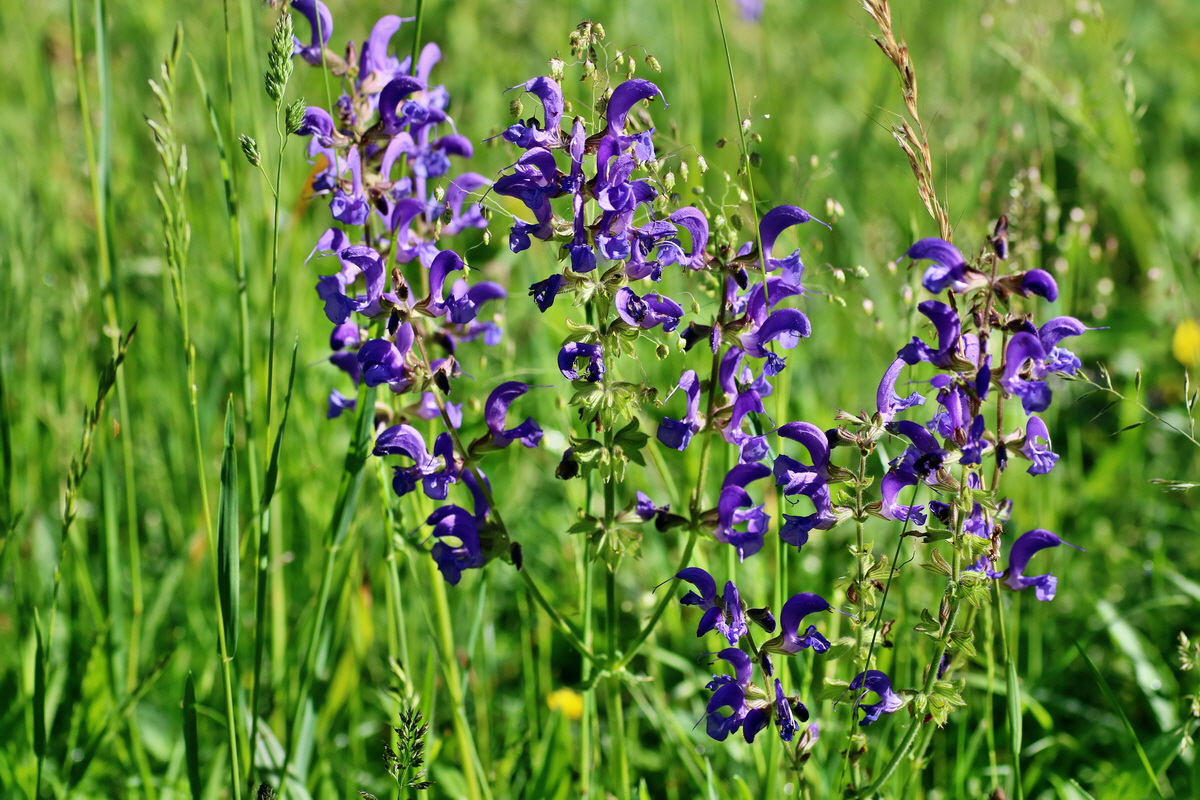 IMG-2016-05-31-00017288p_Bildgr��e �ndern