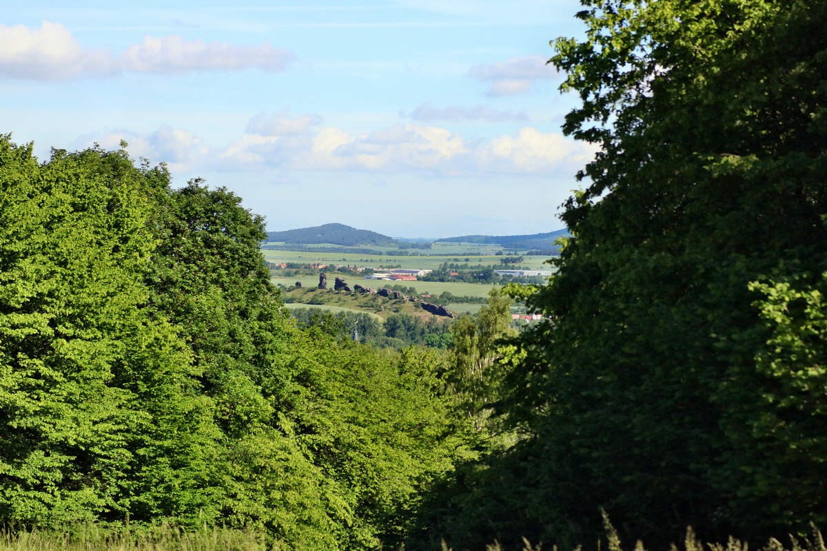 IMG-2016-05-31-00017295p_Bildgr��e �ndern