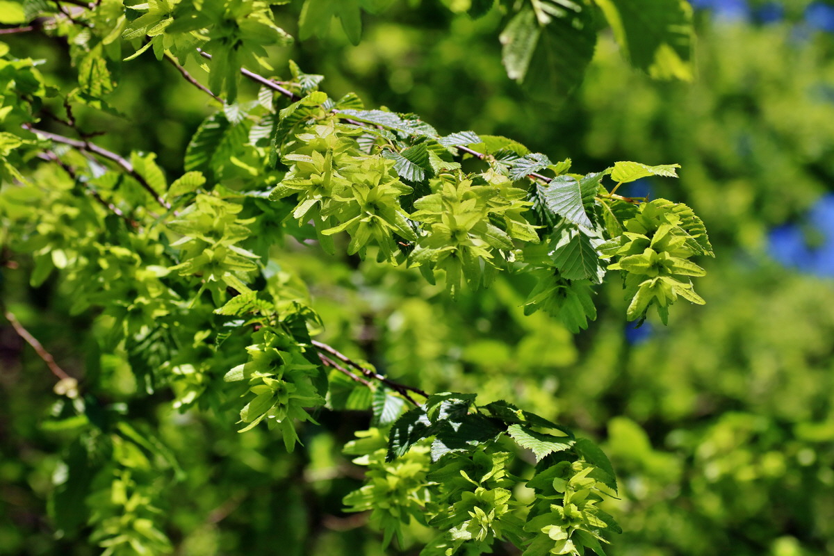 IMG-2016-05-31-00017297p_Bildgr��e �ndern