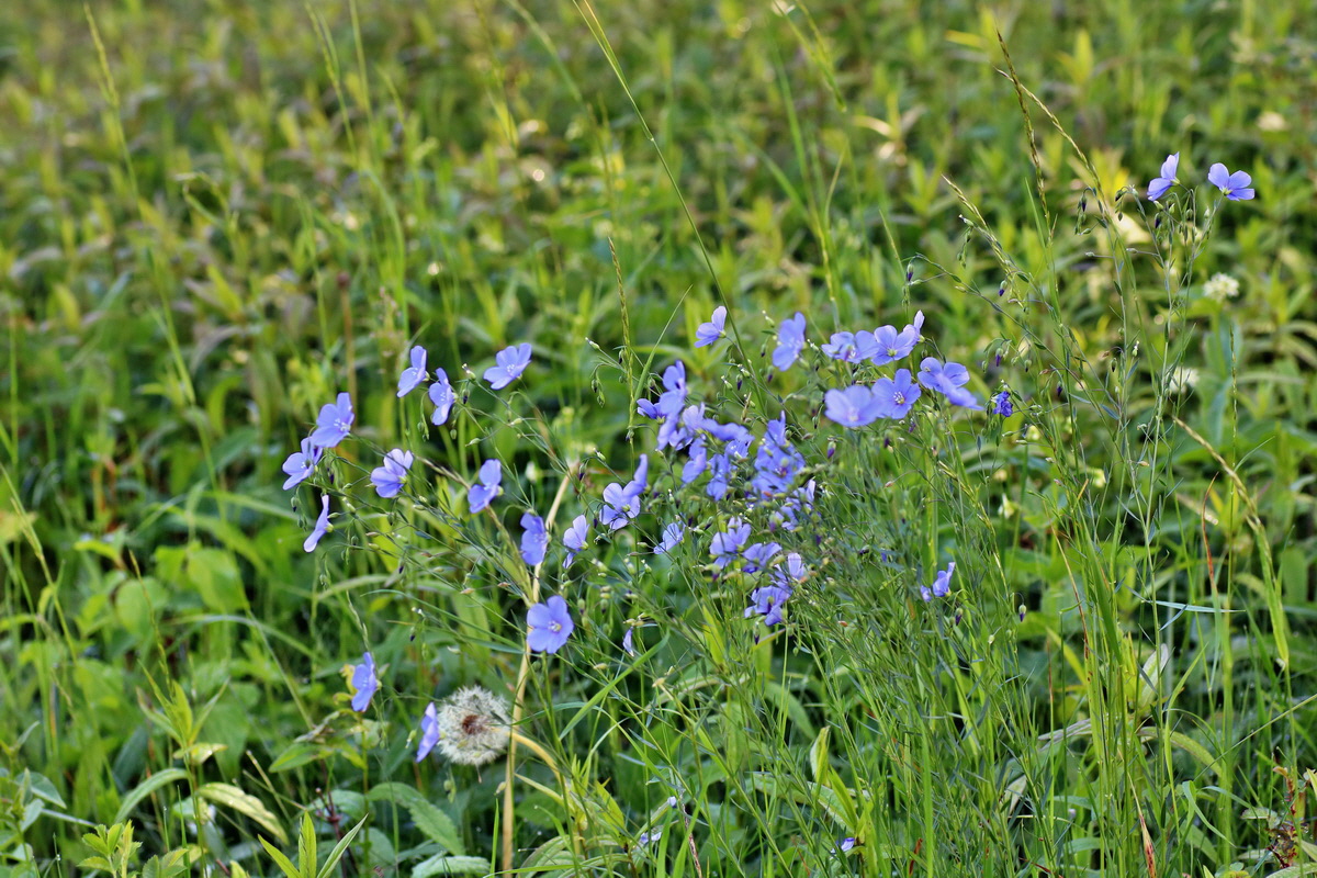 IMG-2016-05-31-00017306p_Bildgr��e �ndern