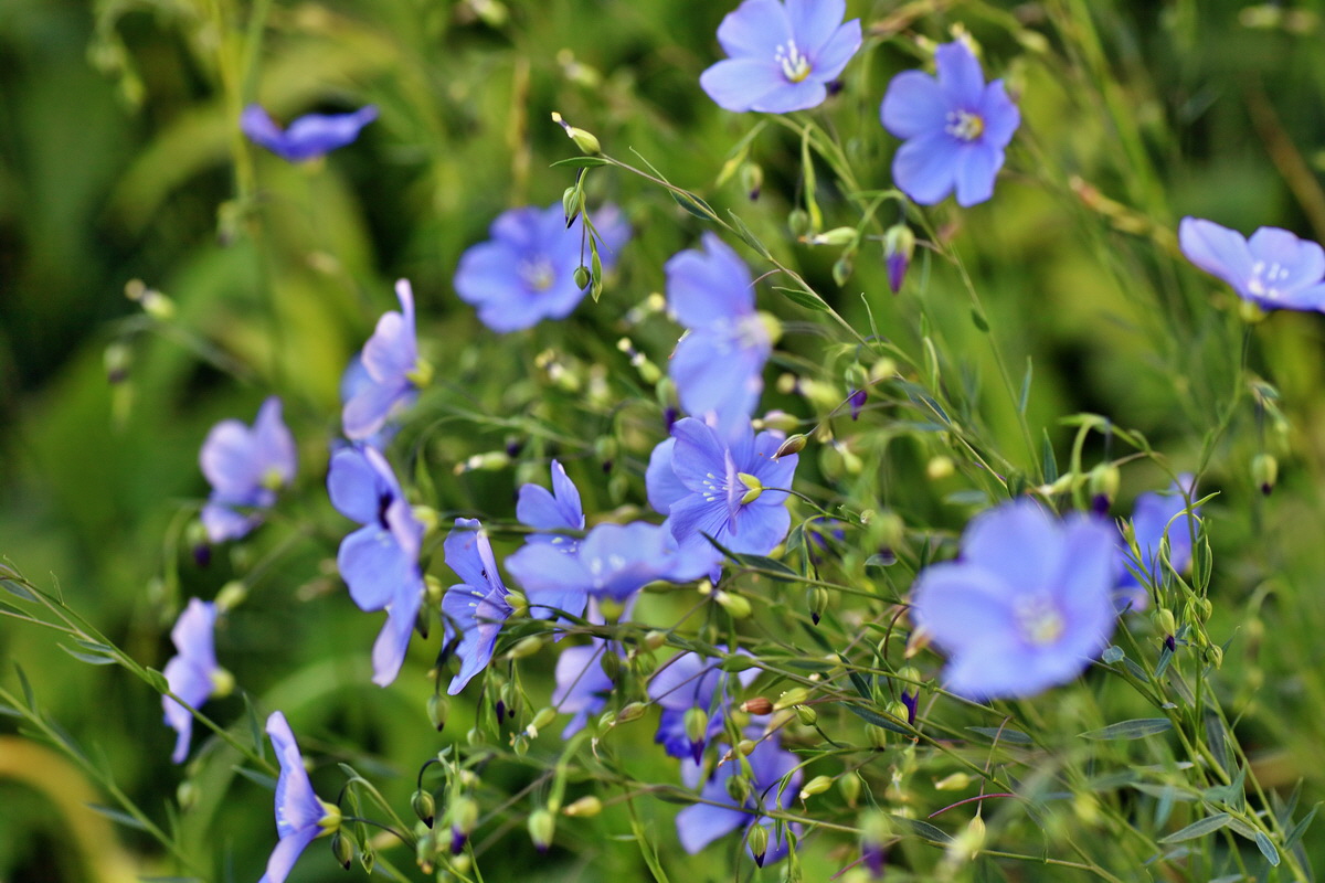 IMG-2016-05-31-00017310p_Bildgr��e �ndern