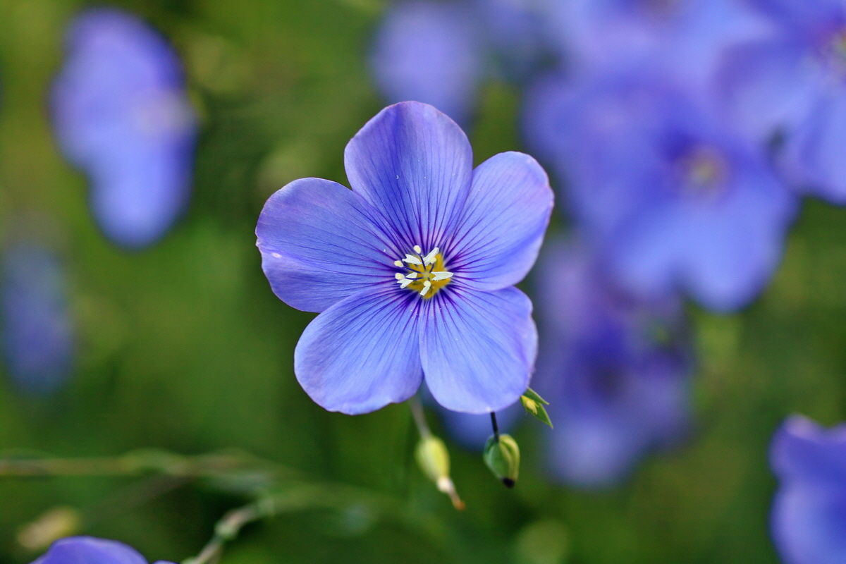 IMG-2016-05-31-00017317p_Bildgr��e �ndern