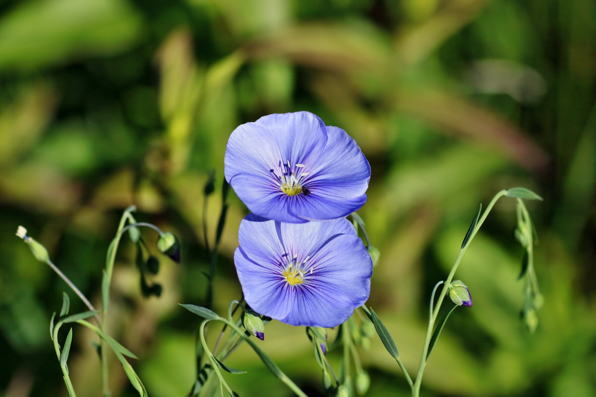 IMG-2016-05-31-00017321p_Bildgr��e �ndern