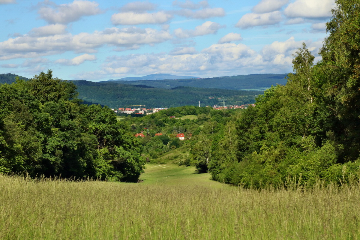 IMG-2016-05-31-00017335p_Bildgr��e �ndern