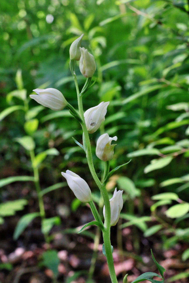 IMG-2016-05-31-00017337p_Bildgr��e �ndern