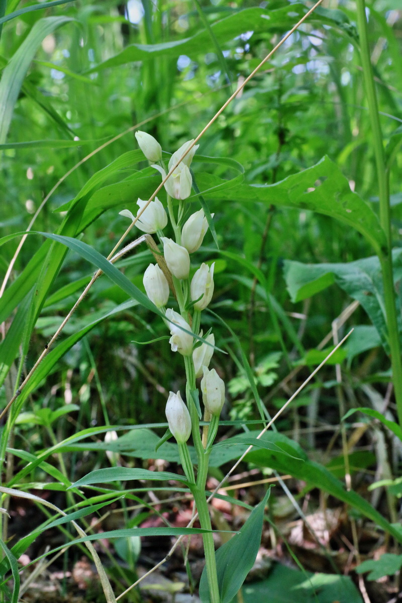 IMG-2016-05-31-00017341p_Bildgr��e �ndern