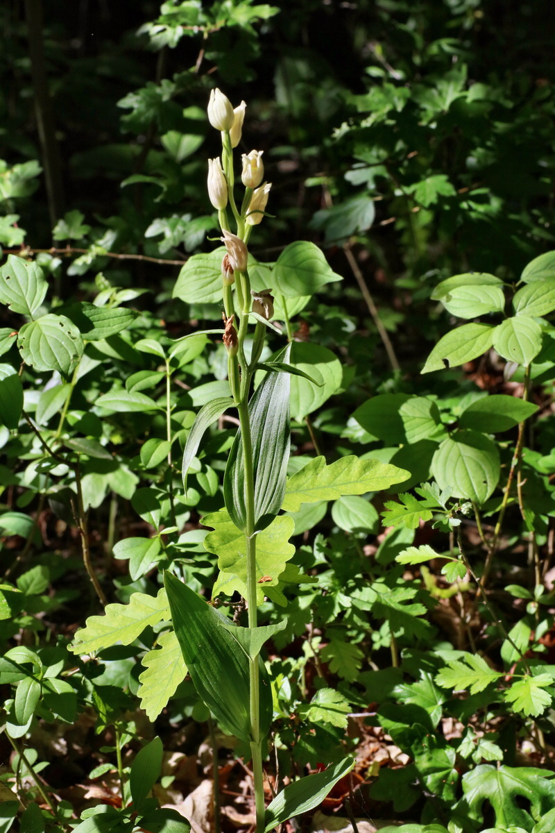 IMG-2016-05-31-00017344p_Bildgr��e �ndern