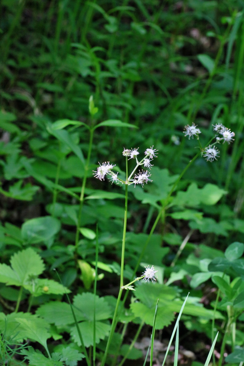 IMG-2016-05-31-00017350p_Bildgr��e �ndern