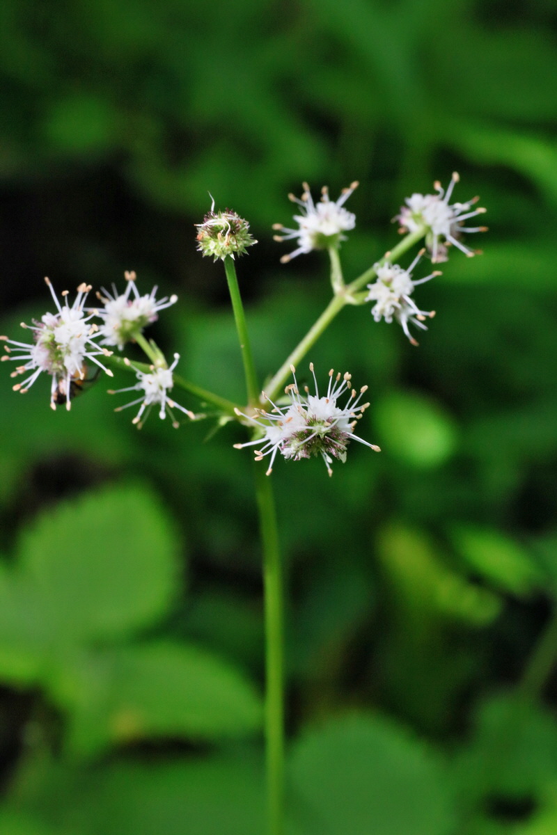 IMG-2016-05-31-00017353p_Bildgr��e �ndern