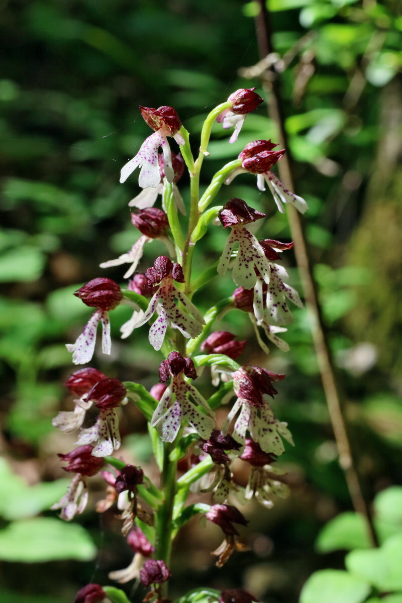 IMG-2016-05-31-00017364p_Bildgr��e �ndern