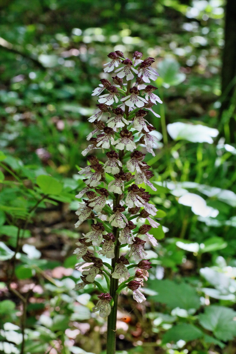 IMG-2016-05-31-00017373p_Bildgr��e �ndern