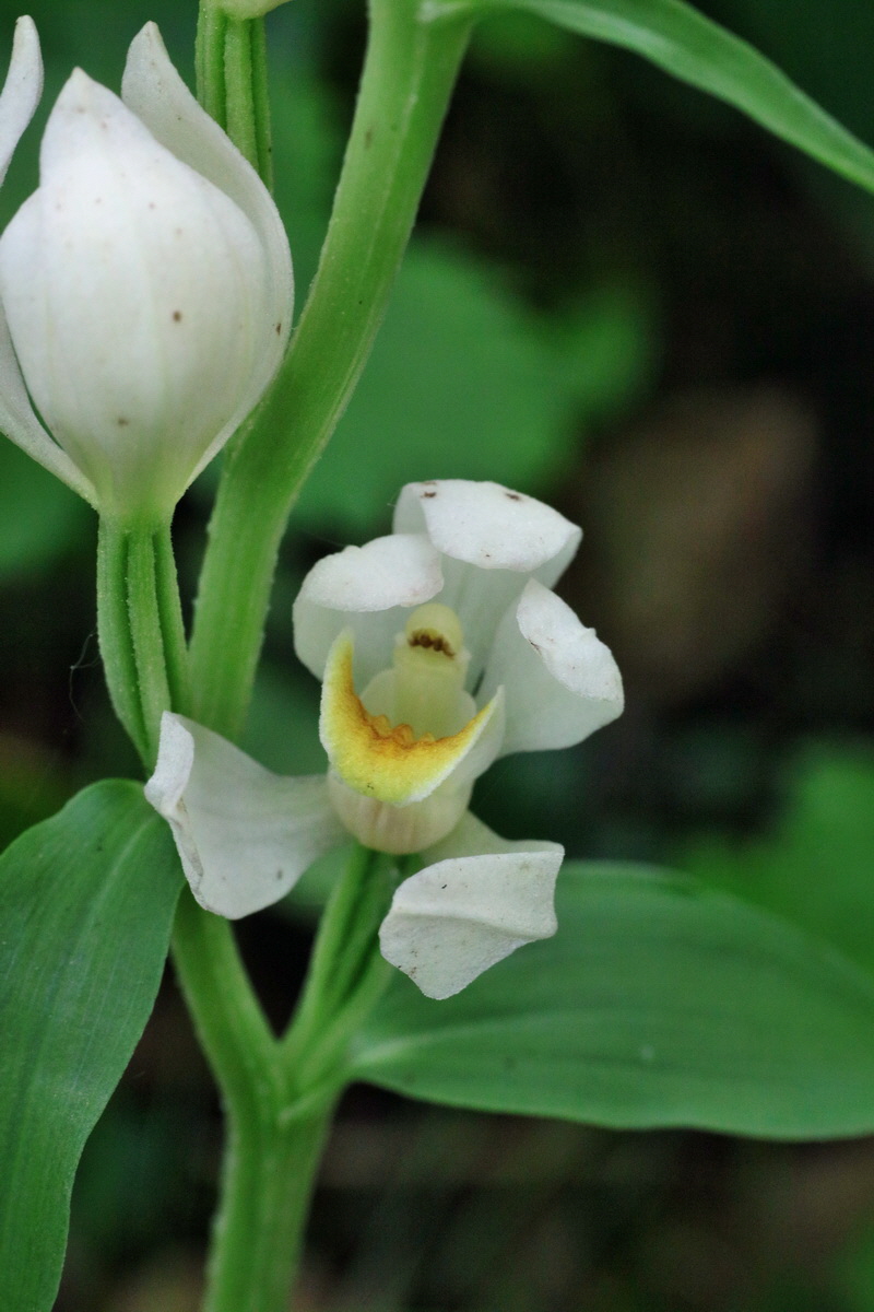 IMG-2016-05-31-00017380p_Bildgr��e �ndern