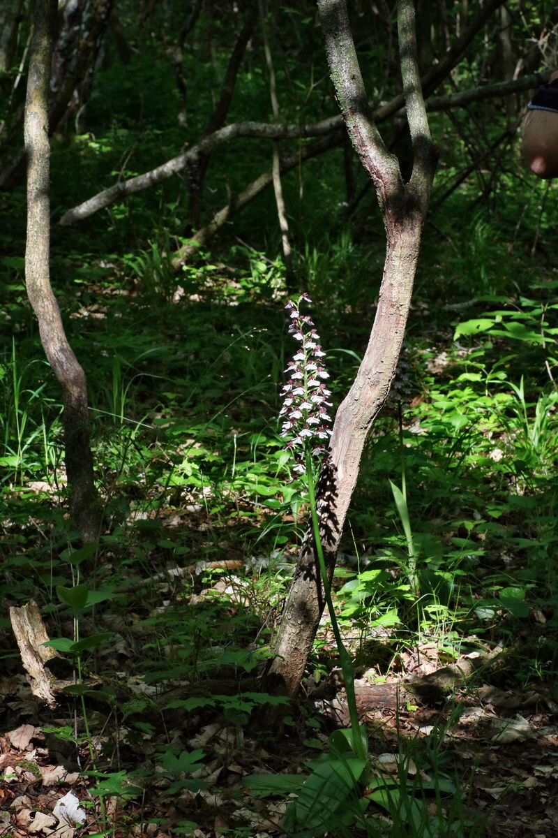 IMG-2016-05-31-00017412p_Bildgr��e �ndern