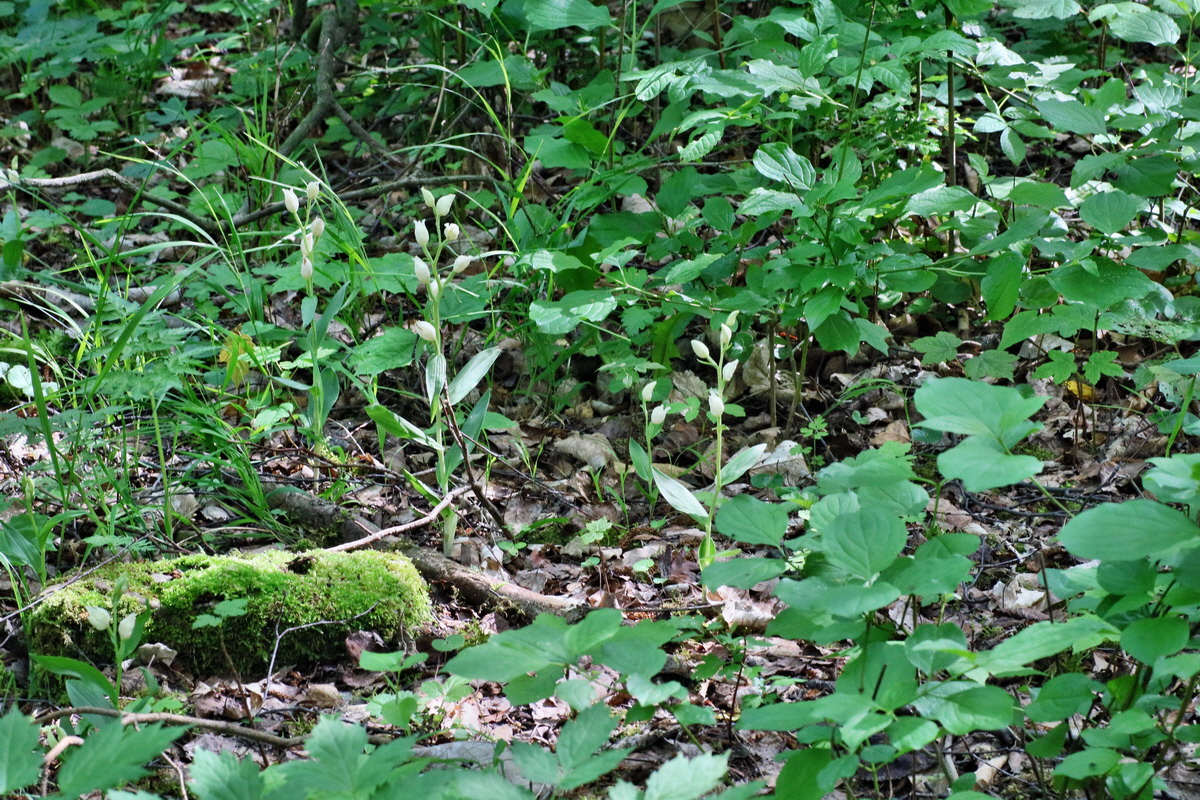 IMG-2016-05-31-00017415p_Bildgr��e �ndern