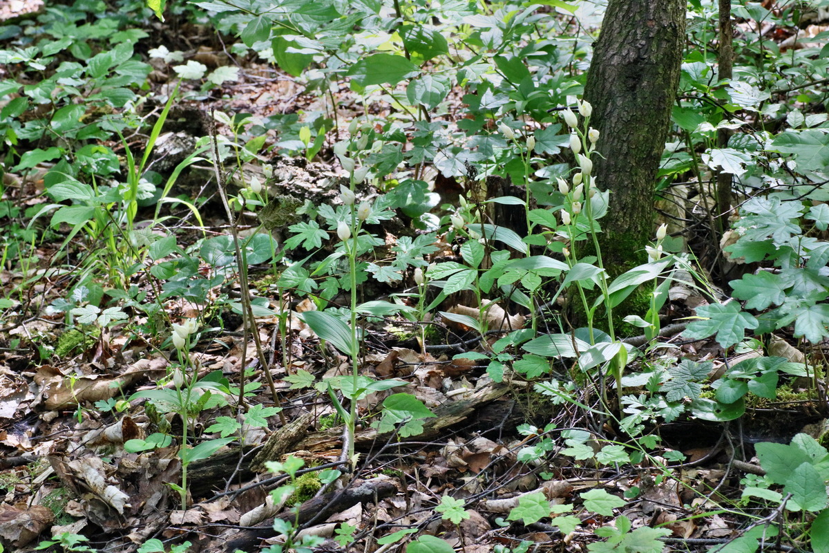 IMG-2016-05-31-00017420p_Bildgr��e �ndern