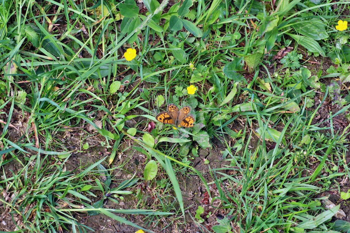 IMG-2016-05-31-00017442p_Bildgr��e �ndern