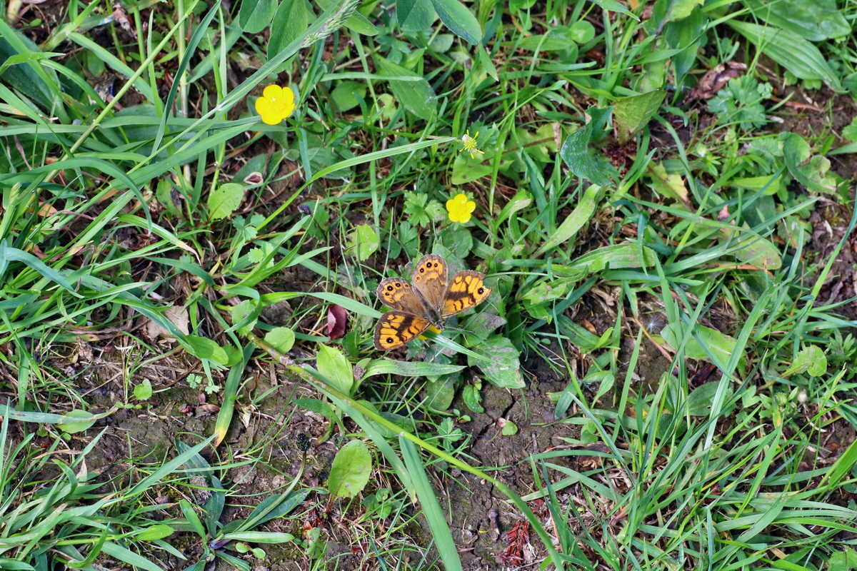 IMG-2016-05-31-00017443p_Bildgr��e �ndern