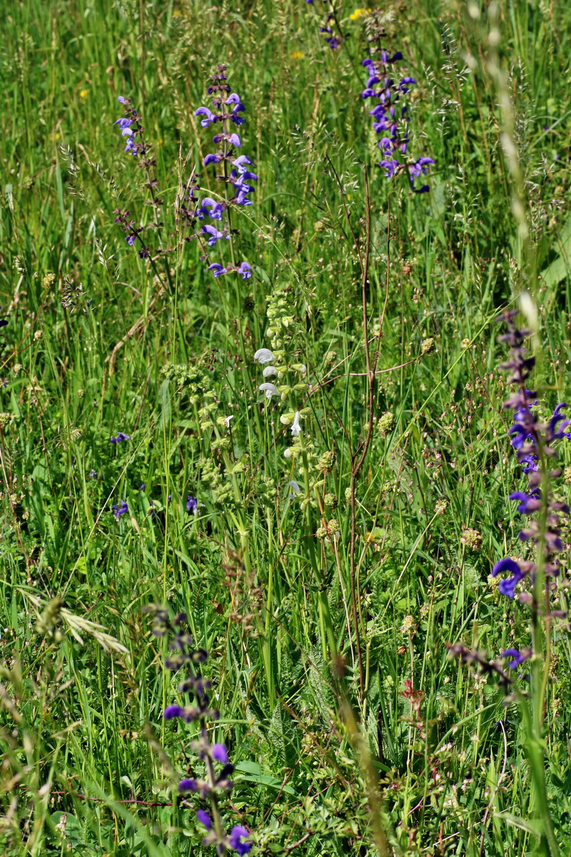 IMG-2016-05-31-00017452p_Bildgr��e �ndern