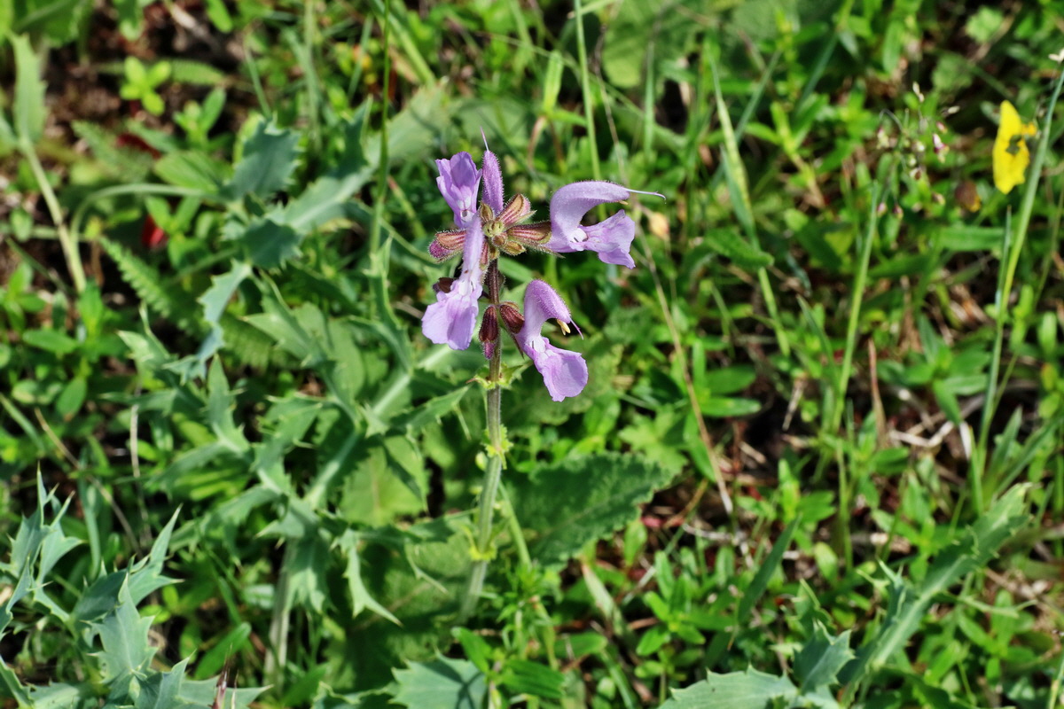 IMG-2016-05-31-00017459p_Bildgr��e �ndern