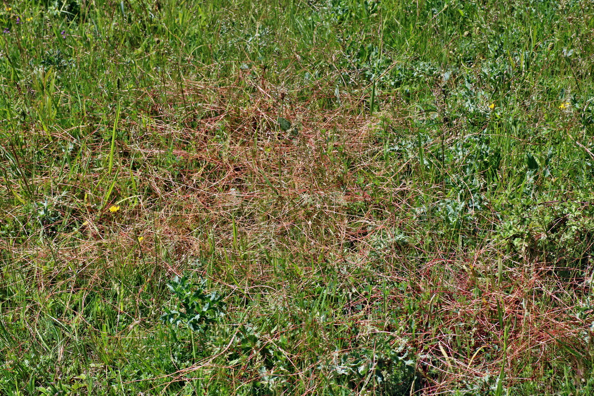 IMG-2016-05-31-00017462p_Bildgr��e �ndern