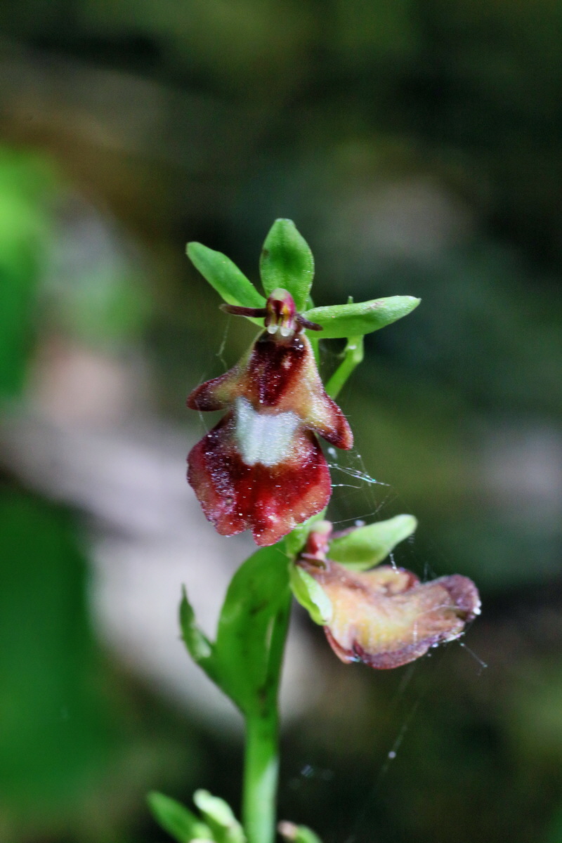 IMG-2016-05-31-00017477p_Bildgr��e �ndern