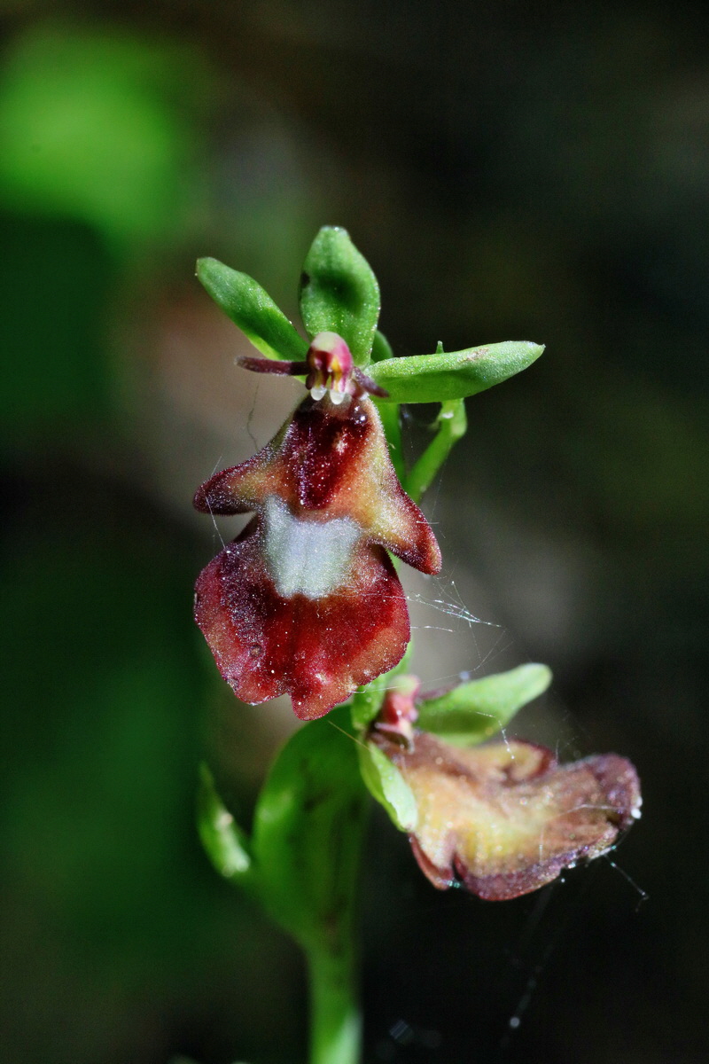 IMG-2016-05-31-00017480p_Bildgr��e �ndern