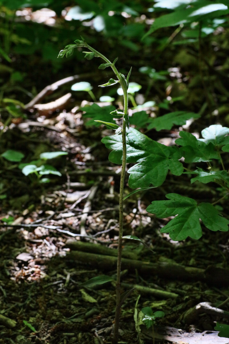 IMG-2016-05-31-00017484p_Bildgr��e �ndern