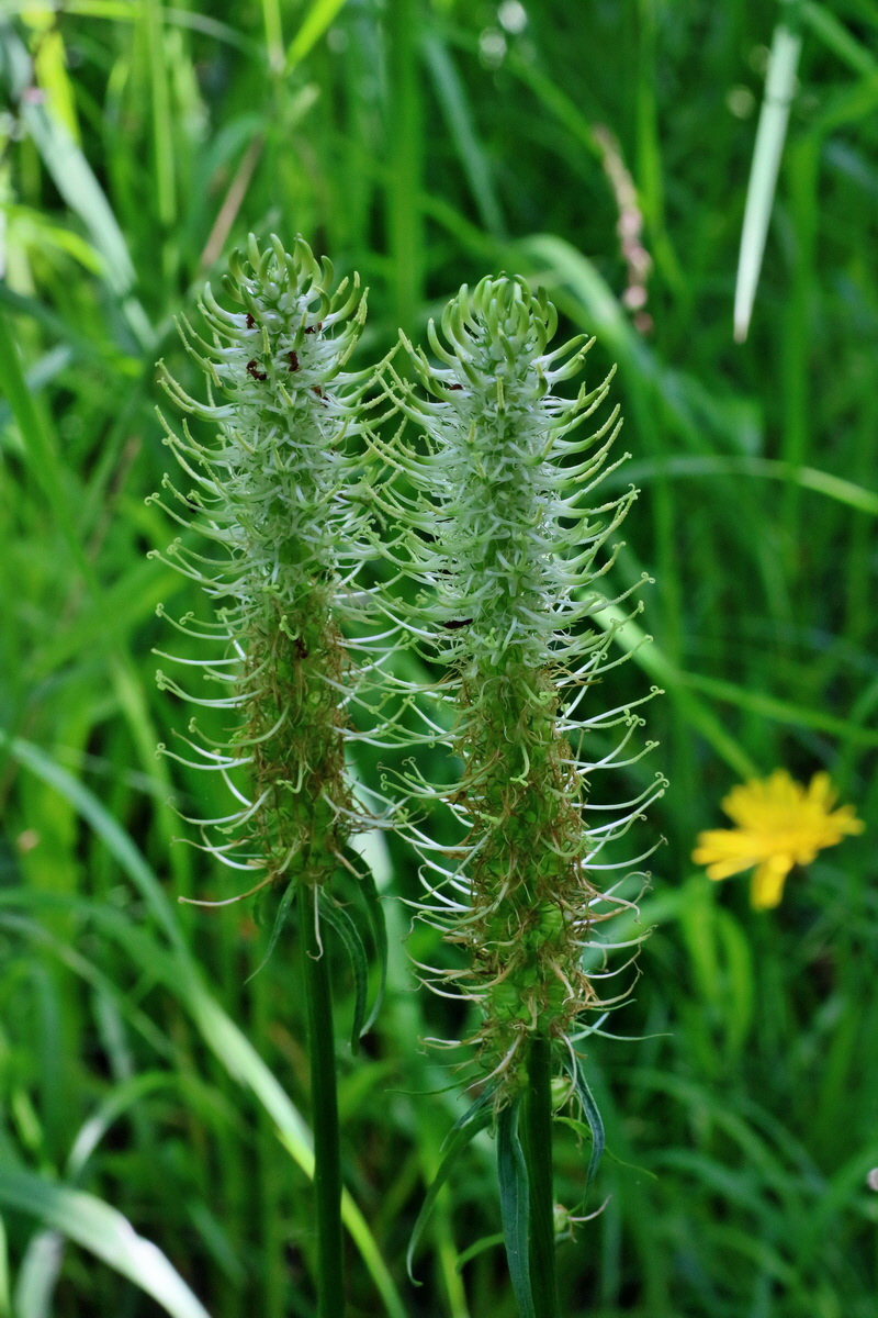 IMG-2016-05-31-00017488p_Bildgr��e �ndern