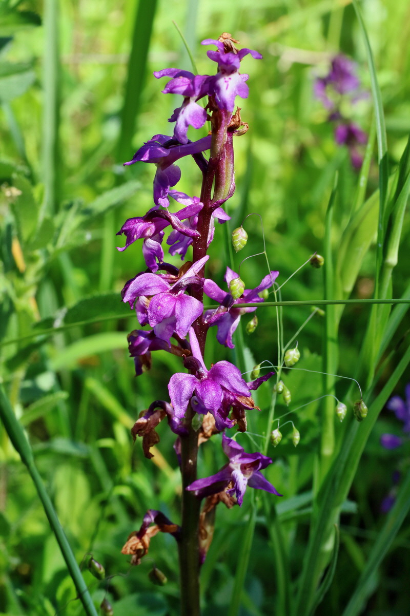 IMG-2016-05-31-00017499p_Bildgr��e �ndern