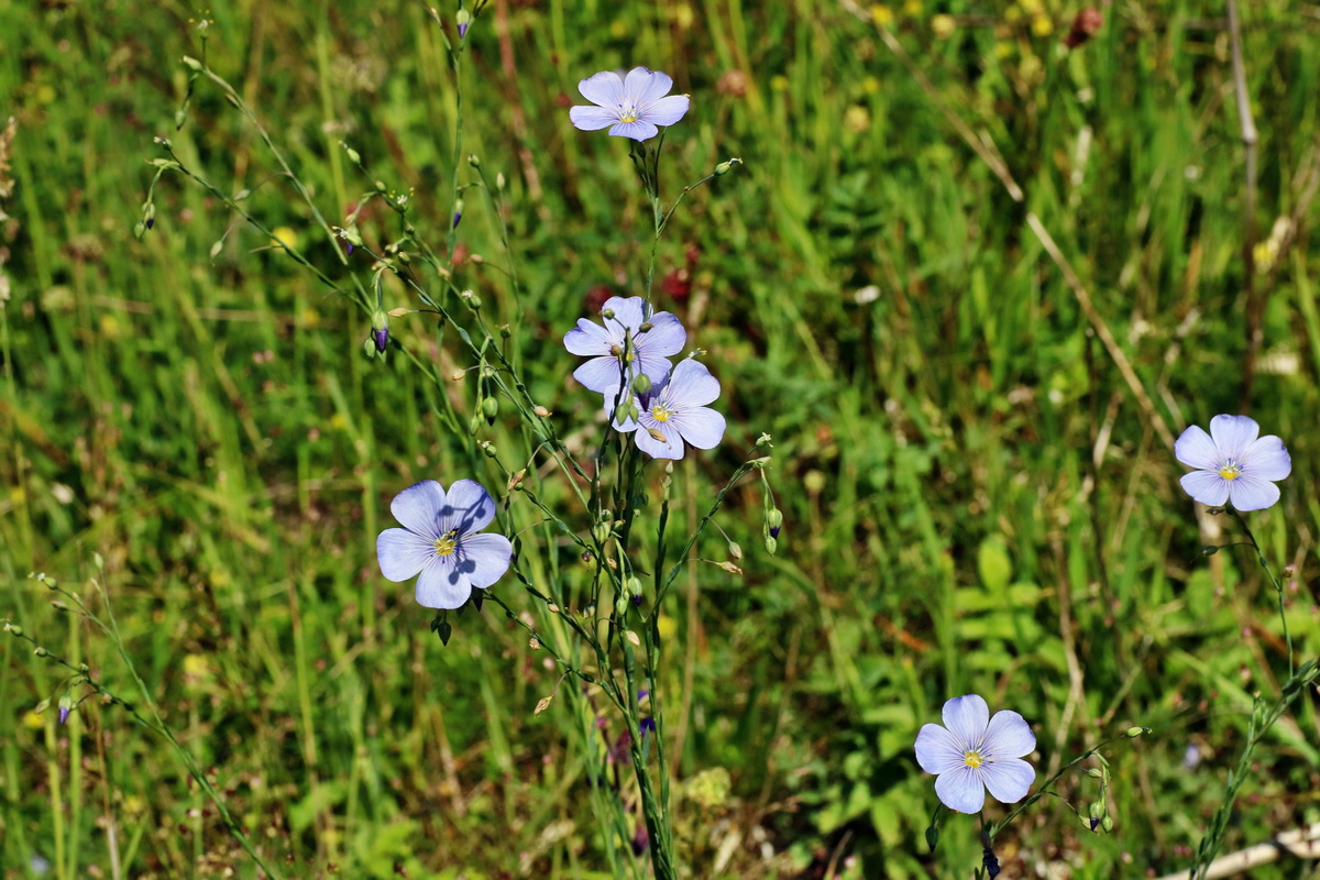 IMG-2016-05-31-00017506p_Bildgr��e �ndern