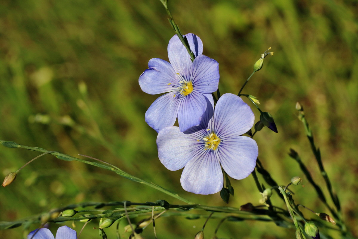 IMG-2016-05-31-00017508p_Bildgr��e �ndern