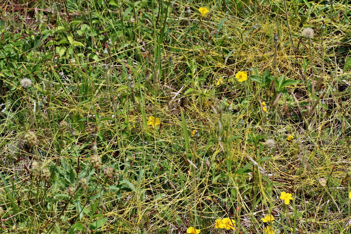 IMG-2016-05-31-00017527p_Bildgr��e �ndern