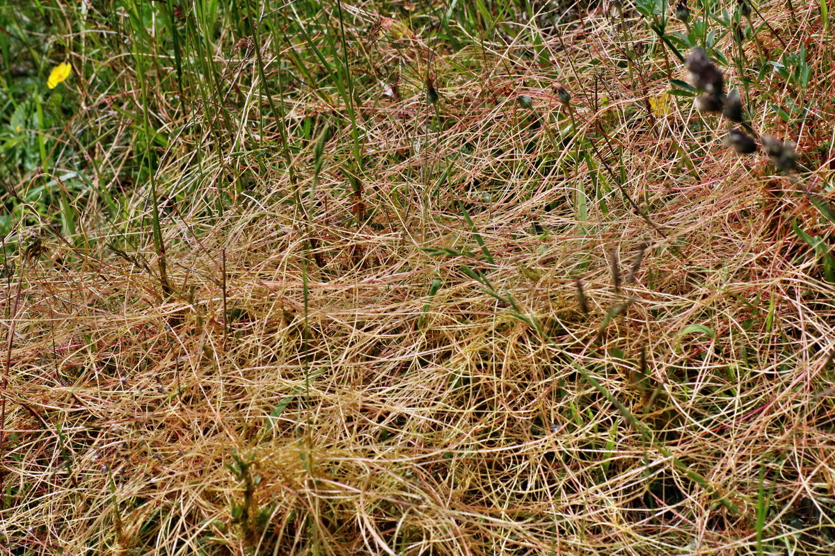 IMG-2016-05-31-00017530p_Bildgr��e �ndern