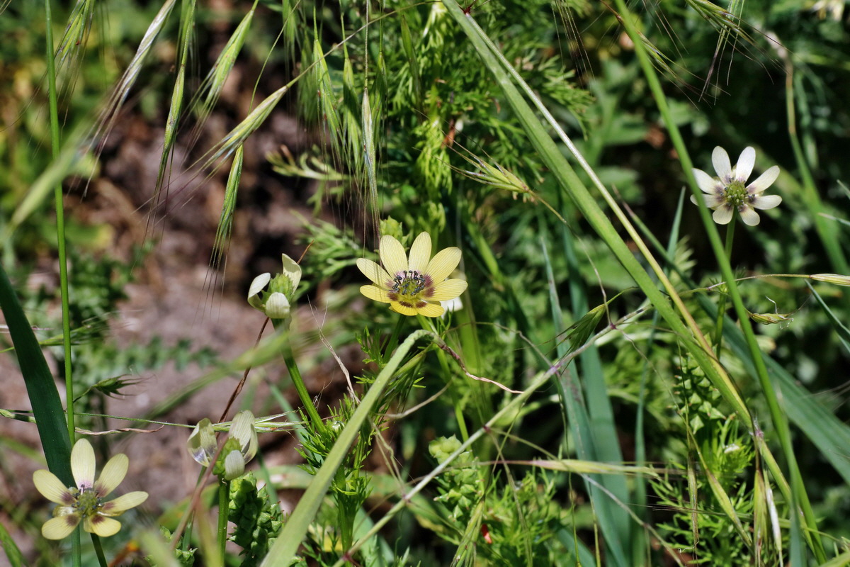 IMG-2016-05-31-00017533p_Bildgr��e �ndern