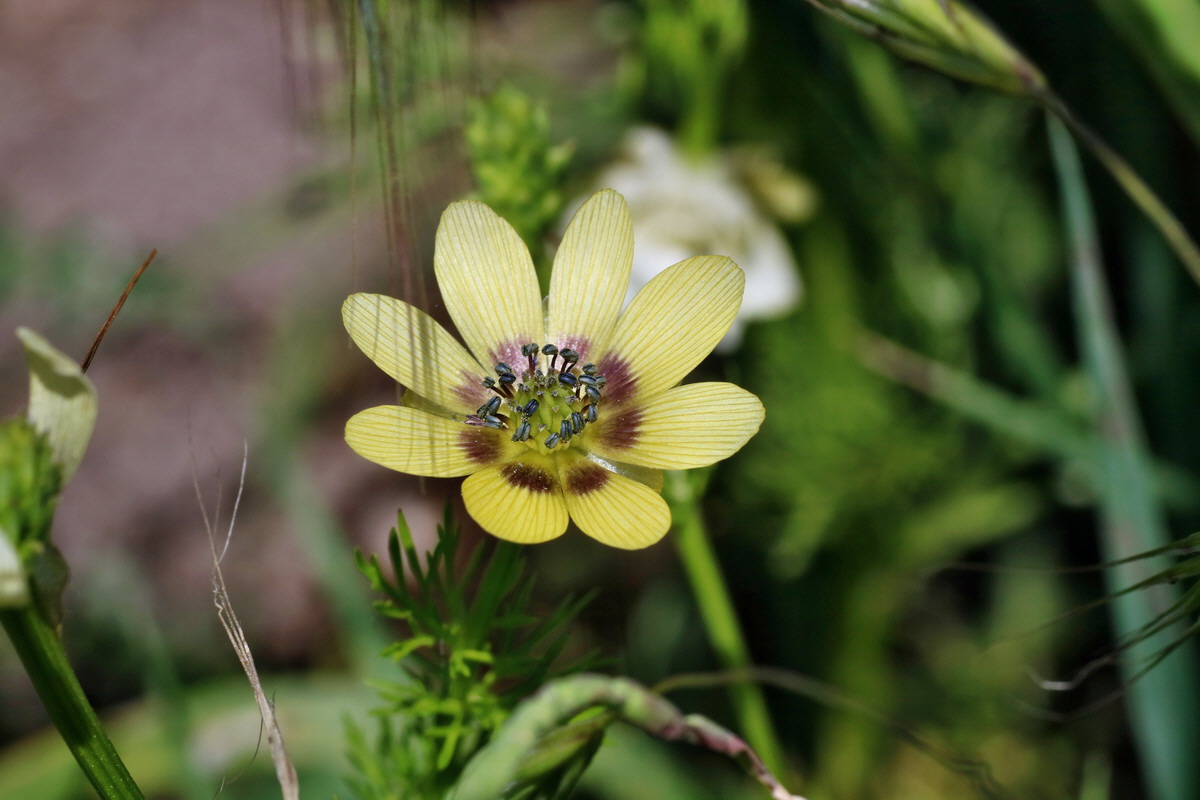 IMG-2016-05-31-00017536p_Bildgr��e �ndern