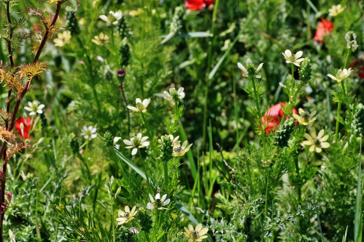 IMG-2016-05-31-00017539p_Bildgr��e �ndern