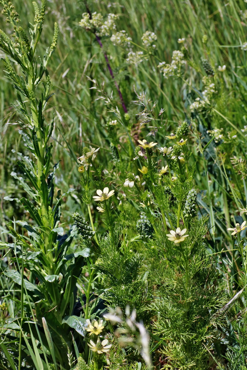 IMG-2016-05-31-00017543p_Bildgr��e �ndern