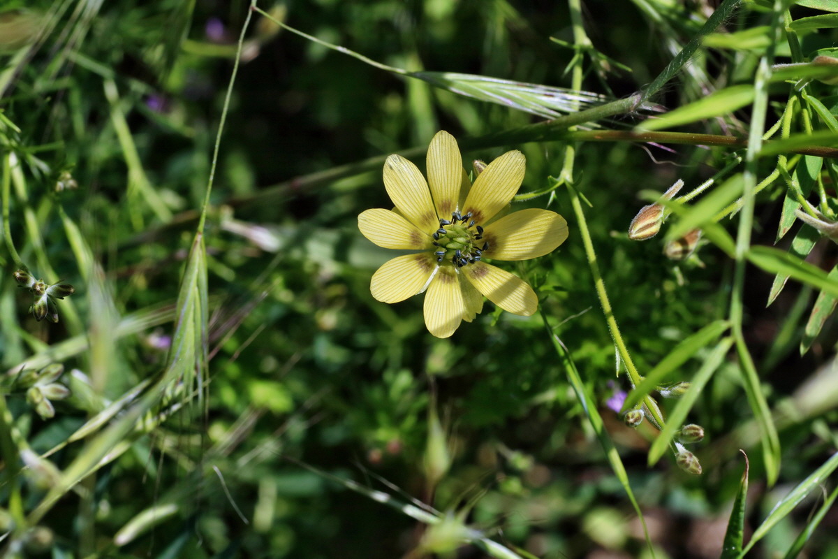 IMG-2016-05-31-00017548p_Bildgr��e �ndern