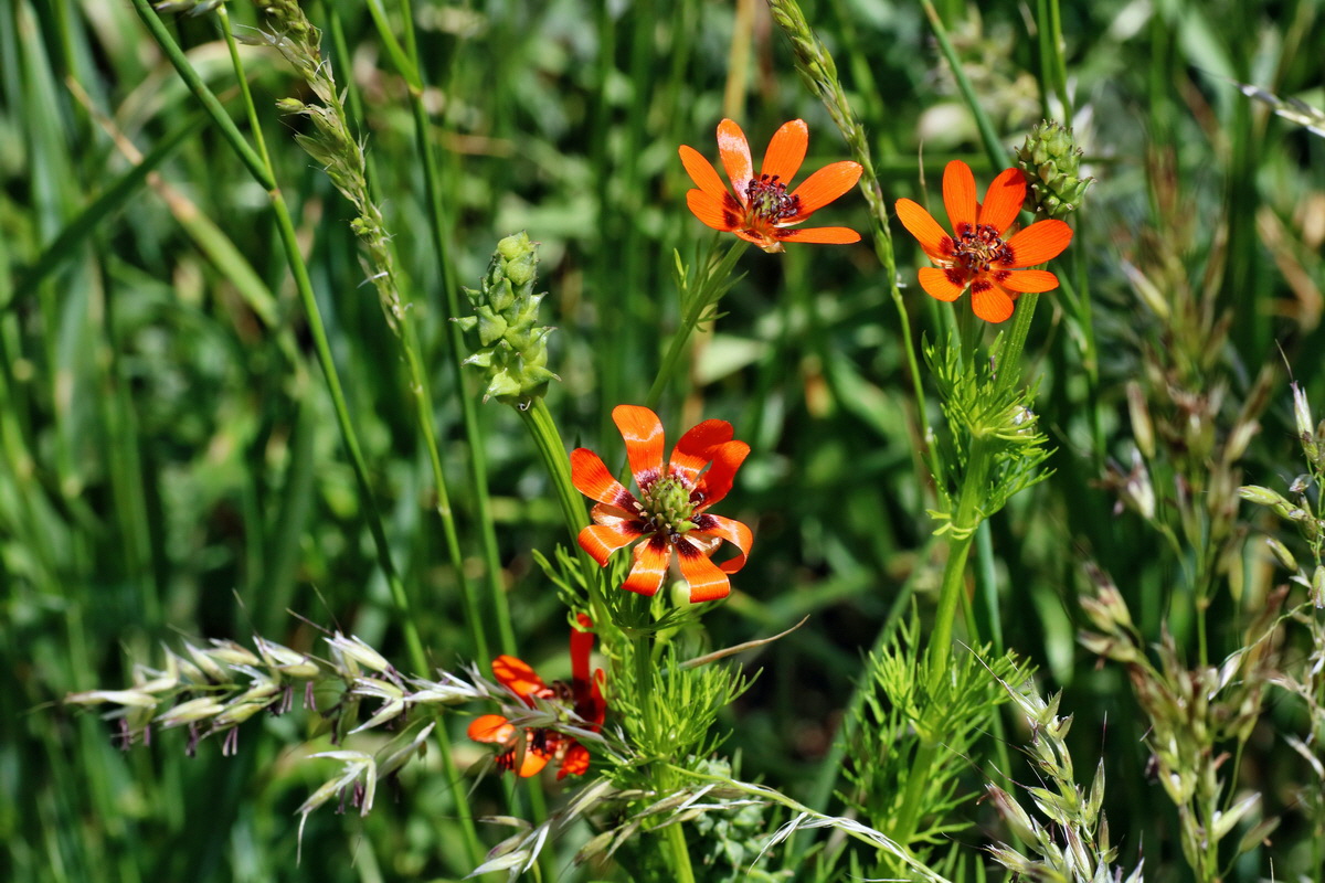 IMG-2016-05-31-00017551p_Bildgr��e �ndern