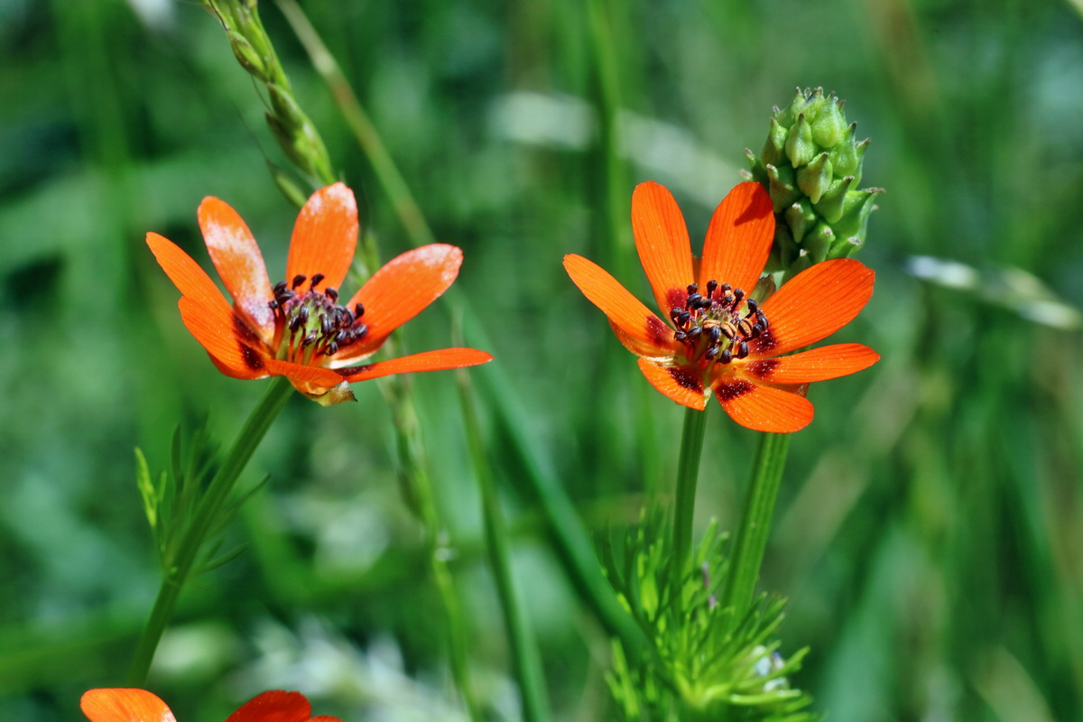 IMG-2016-05-31-00017558p_Bildgr��e �ndern