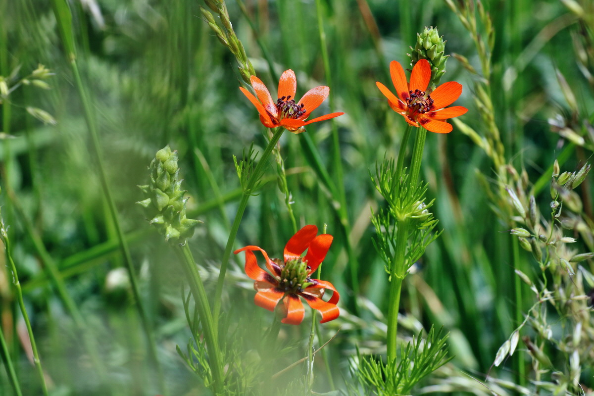 IMG-2016-05-31-00017577p_Bildgr��e �ndern