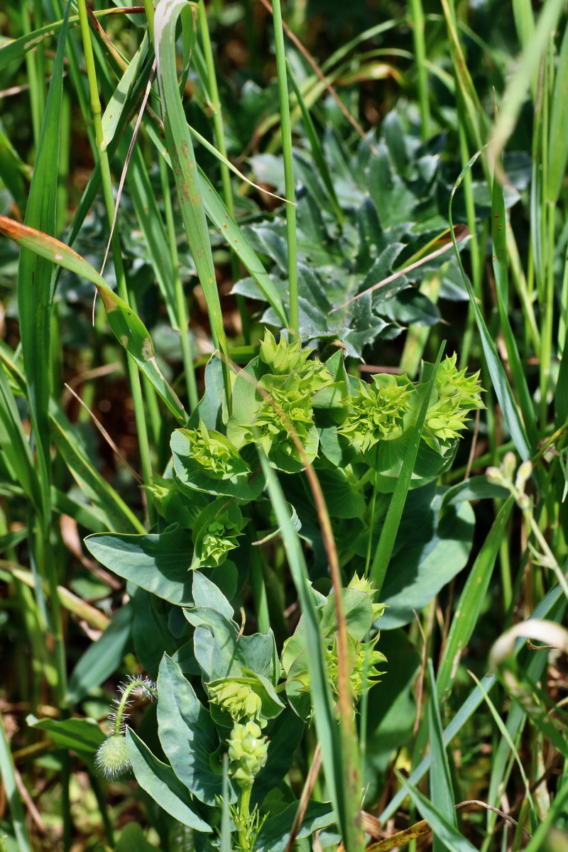 IMG-2016-05-31-00017581p_Bildgr��e �ndern