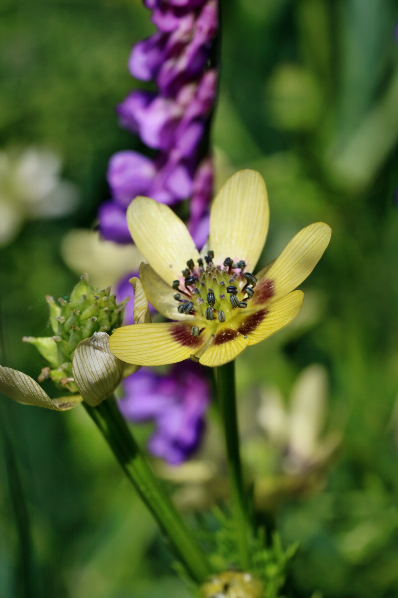 IMG-2016-05-31-00017592p_Bildgr��e �ndern