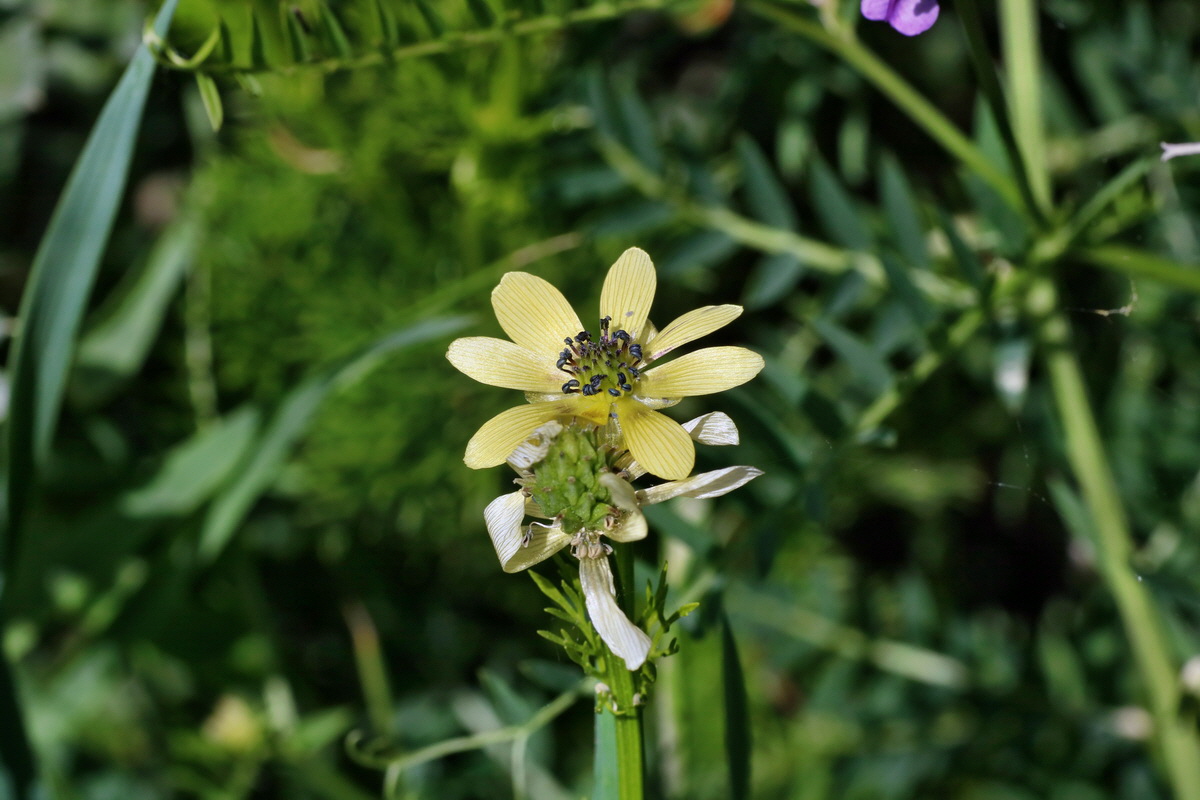 IMG-2016-05-31-00017595p_Bildgr��e �ndern