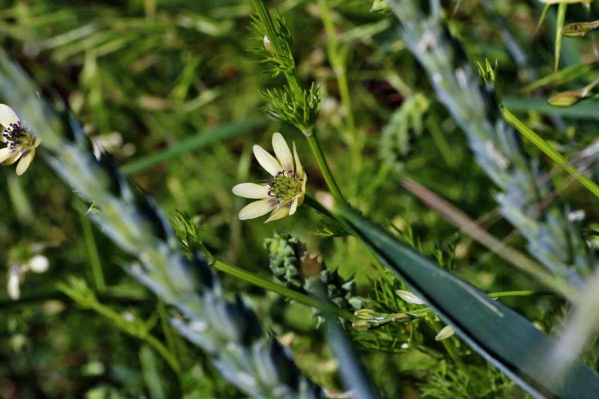 IMG-2016-05-31-00017612p_Bildgr��e �ndern