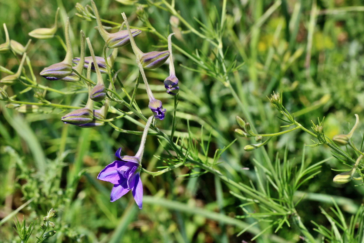 IMG-2016-05-31-00017616p_Bildgr��e �ndern